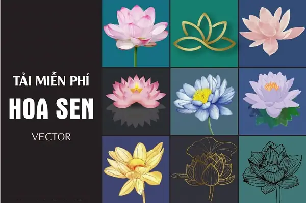 Ảnh Hoa Sen Vector, Png | Tải Xuống Miễn Phí