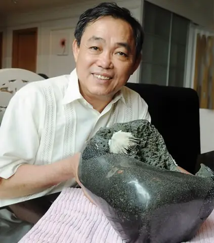 Hoa Ưu Đàm Của Đức Phật Là Gì? Ý Nghĩa, Biểu Tượng Và Những Điều Ít Biết