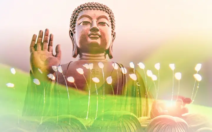 Hoa Ưu Đàm Của Đức Phật Là Gì? Ý Nghĩa, Biểu Tượng Và Những Điều Ít Biết