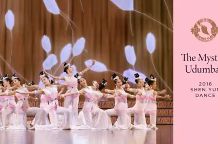 Hoa Ưu Đàm Nhà Phật