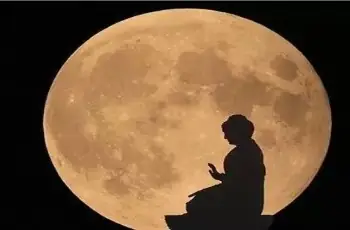 Bài Viết Liên Quan