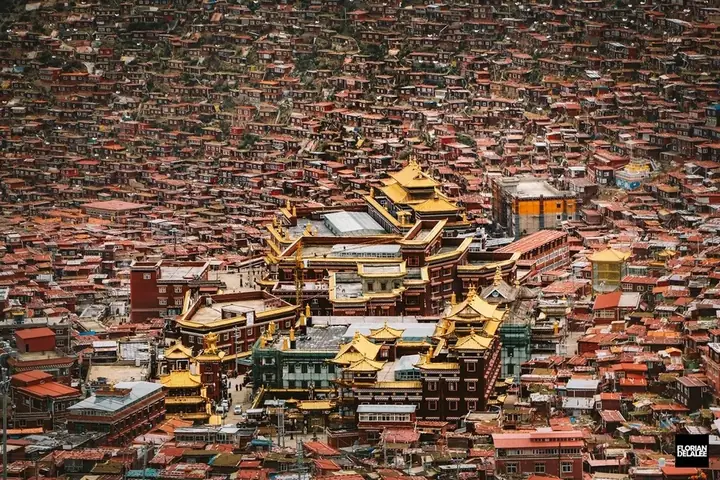 Học Viện Phật Giáo Lớn Nhất Thế Giới - Ảnh 2.