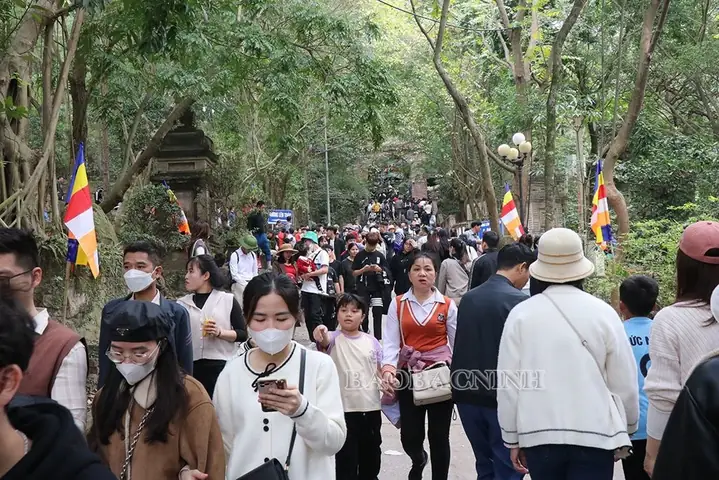 Lễ Hội Khán Hoa Mẫu Đơn Chùa Phật Tích Thu Hút Hàng Vạn Du Khách