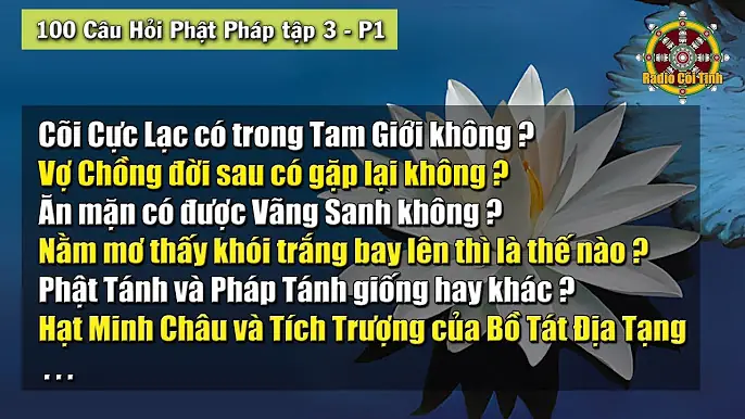 Hỏi Đáp Phật Pháp: Cẩm Nang Giải Đáp 100 Câu Hỏi Từ Cơ Bản Đến Nâng Cao