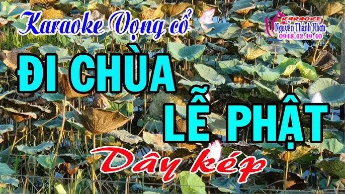 Karaoke Đi Chùa Lễ Phật: Khi Giải Trí Gắn Liền Với Tín Ngưỡng