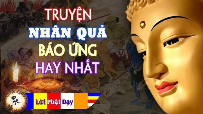 Kể Chuyện Đêm Khuya Phật Pháp Nhiệm Mầu: Những Câu Chuyện Tâm Linh Sâu Sắc