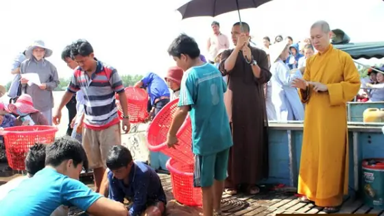 Brvt: Phật Tử Thiền Tôn Phật Quang Phóng Sinh