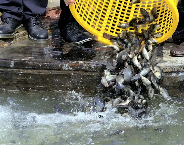 Kệ Phóng Sinh | Thiền Tôn Phật Quang