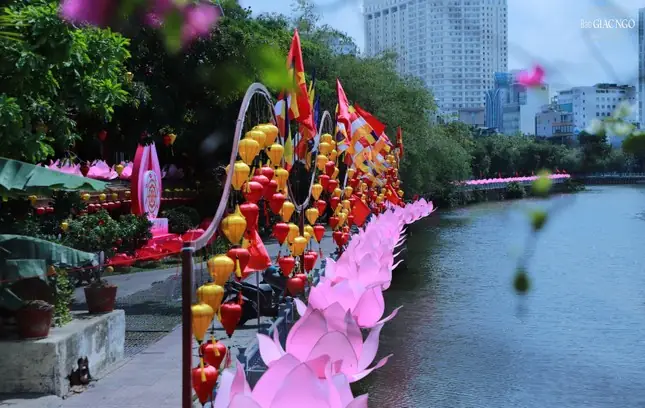 Kênh Sen Hồng Chùa Phật Quang