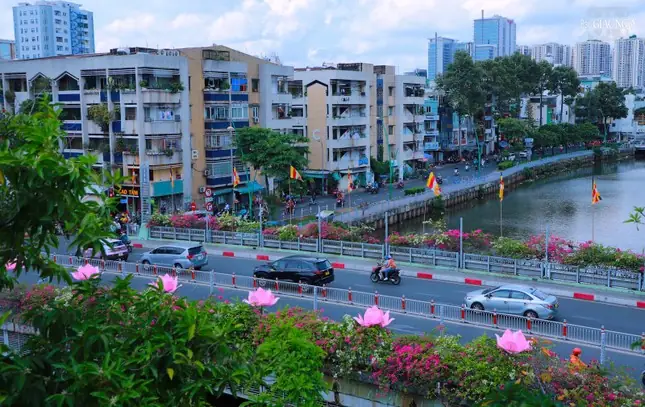 Kênh Sen Hồng Chùa Phật Quang