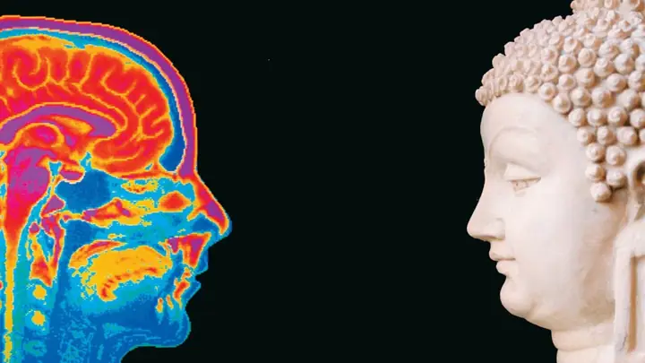 Trí Tuệ Siêu Việt Của Đức Phật