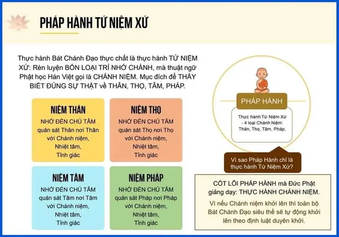 Kiến Thức Căn Bản Phật Giáo: Cẩm Nang Toàn Tập Cho Người Mới Bắt Đầu
