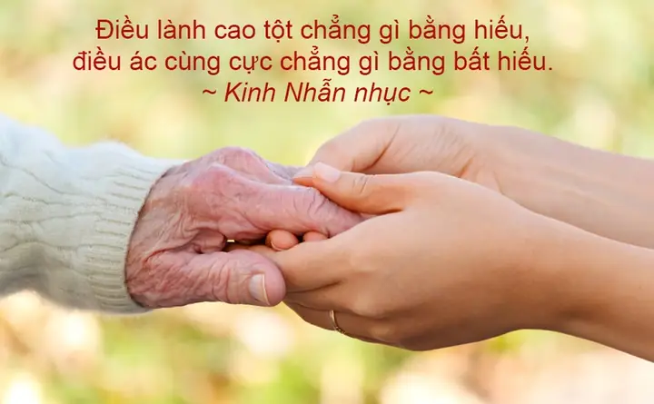 Kinh Phật Về Mẹ