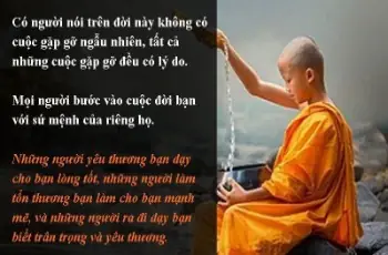 Bài Viết Cùng Danh Mục