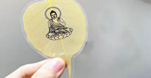 Lá Bồ Đề Tâm Phật: Có Thực Sự Linh Nghiệm Như Lời Đồn?