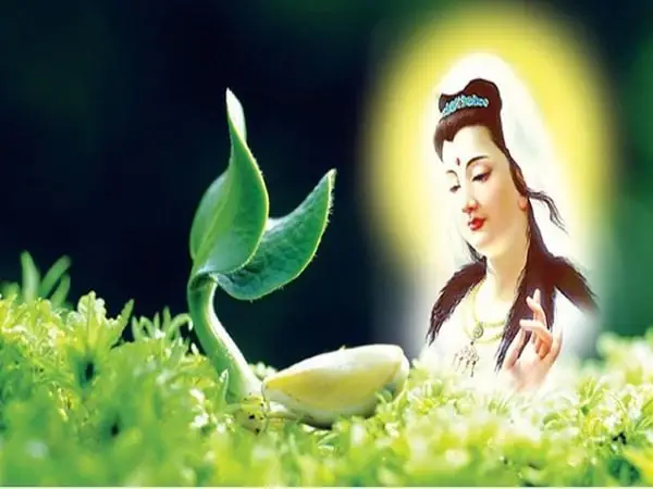 Văn Hóa Phật Giáo Du Nhập Vào Việt Nam