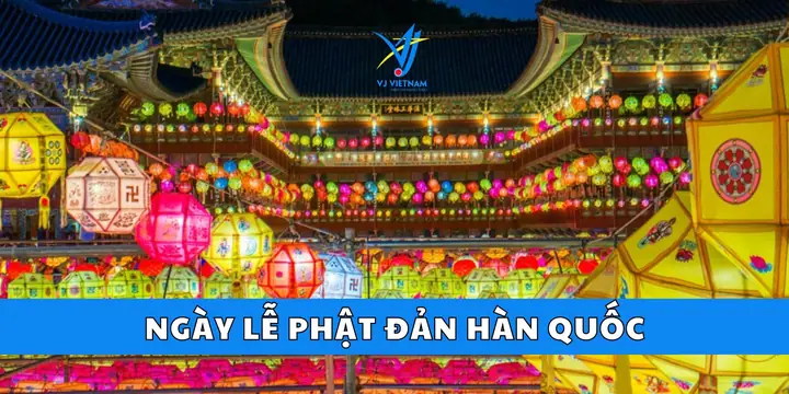 Ngã Y Lá» Pháº­t Äáº£n Hã N Quá»c