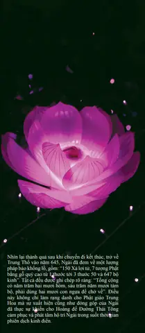 Lịch Sử Các Vị Phật