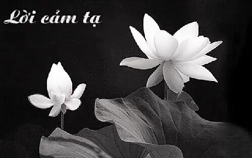 Lời Cảm Tạ Trong Lễ Phật Đản: Ý Nghĩa, Cấu Trúc & Bài Mẫu Hay