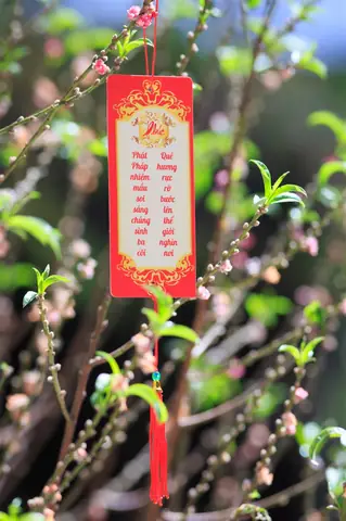 Lời Chúc Của Phật