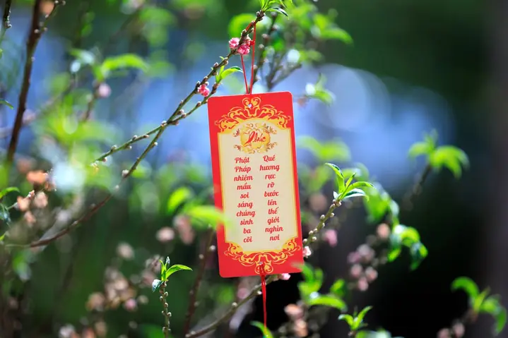 Lời Chúc Của Phật