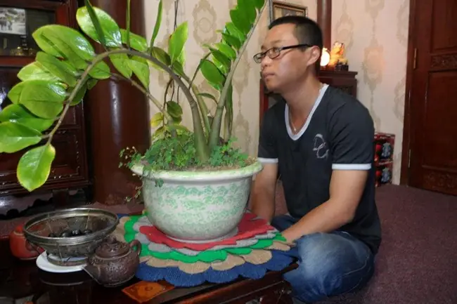 Lời Dặn Của Phật