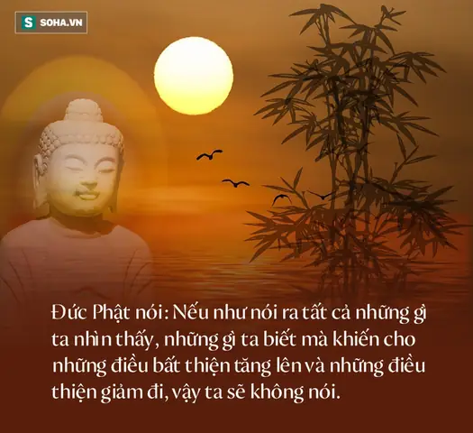 25 Lời Dạy Phật Pháp Làm Thay Đổi Cuộc Đời