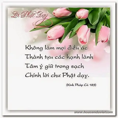 25 Lời Dạy Phật Pháp Làm Thay Đổi Cuộc Đời