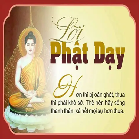 Lời Hay Phât Dạy: 31 Câu Nói Kinh Điển Về Nhân Quả, Duyên Phận Và Hạnh Phúc