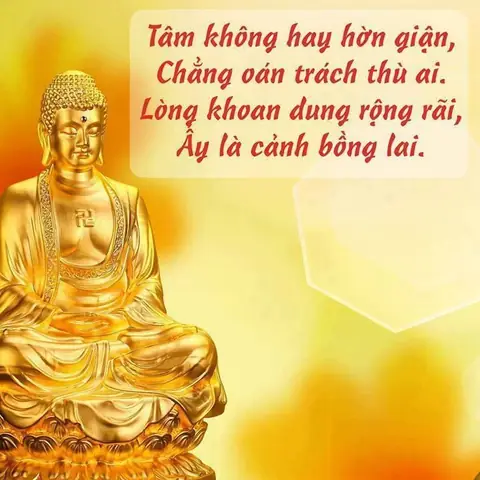 Những Câu Nói Của Phật Mang Lại Những Giá Trị Gì Cho Cuộc Sống Của Chúng Ta?