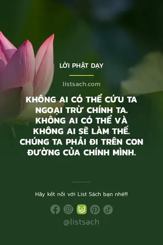 Những Câu Nói Của Phật Mang Lại Những Giá Trị Gì Cho Cuộc Sống Của Chúng Ta?