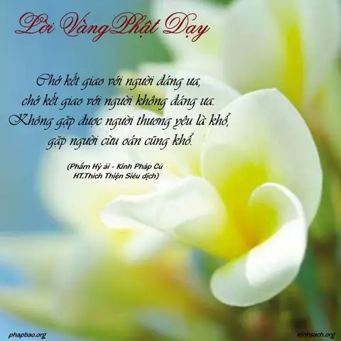 Những Câu Nói Của Phật Mang Lại Những Giá Trị Gì Cho Cuộc Sống Của Chúng Ta?