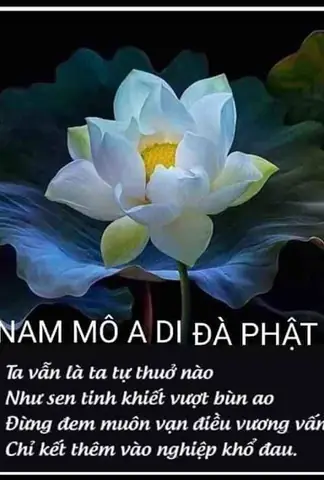 Những Câu Nói Của Phật Mang Lại Những Giá Trị Gì Cho Cuộc Sống Của Chúng Ta?