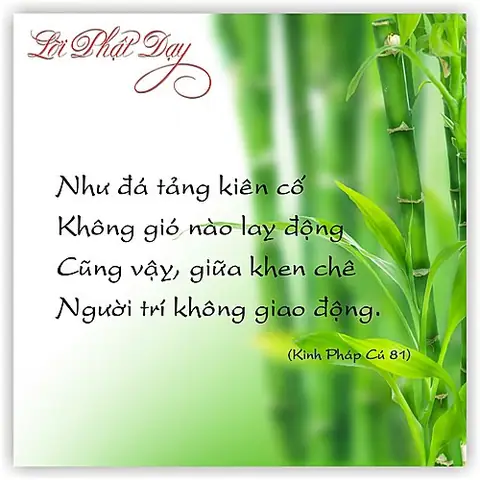 Những Câu Nói Của Phật Mang Lại Những Giá Trị Gì Cho Cuộc Sống Của Chúng Ta?