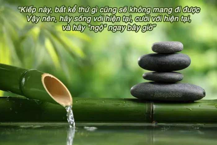 Những Câu Nói Của Phật Mang Lại Những Giá Trị Gì Cho Cuộc Sống Của Chúng Ta?