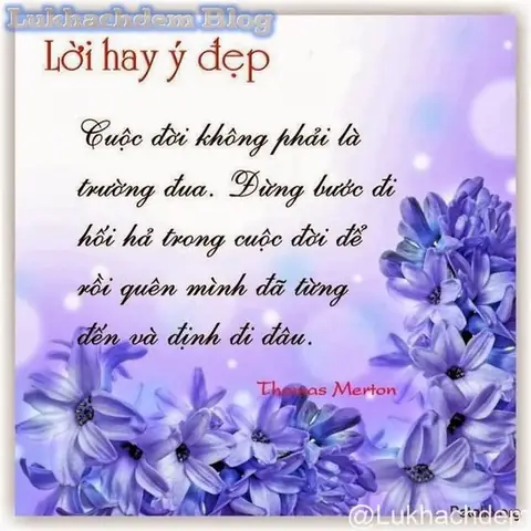 Những Câu Nói Của Phật Mang Lại Những Giá Trị Gì Cho Cuộc Sống Của Chúng Ta?