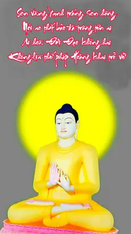 Những Câu Nói Của Phật Mang Lại Những Giá Trị Gì Cho Cuộc Sống Của Chúng Ta?