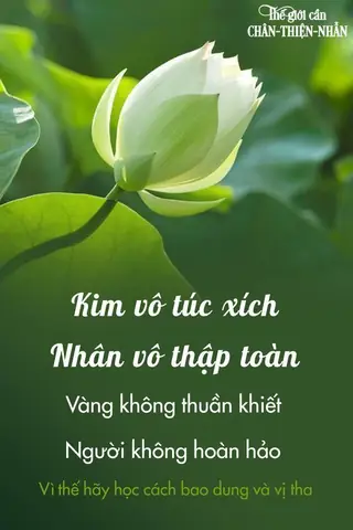 Những Câu Nói Của Phật Mang Lại Những Giá Trị Gì Cho Cuộc Sống Của Chúng Ta?