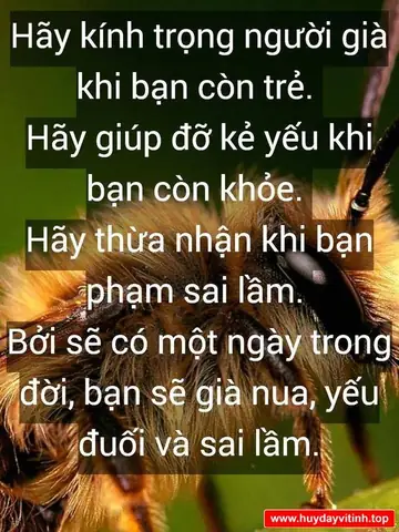Những Câu Nói Của Phật Mang Lại Những Giá Trị Gì Cho Cuộc Sống Của Chúng Ta?