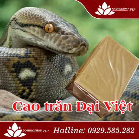 Cao Trăn Đại Việt