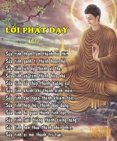 Lời Phật Dạy Về Hơn Thua: Học Cách Sống An Lành Giữa Đời