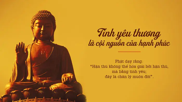 Lời Phật Dạy Về Tha Thứ Trong Tình Yêu: Giải Pháp An Yên Cho Những Đau Khổ