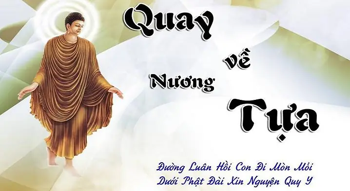25 Lời Phật Thích Ca Dạy: Hành Trình Từ Khổ Đau Đến Hạnh Phúc An Yên
