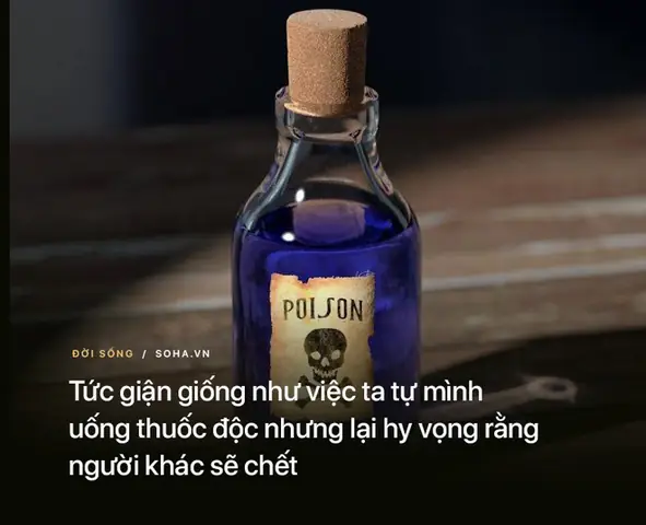 Hãy Xem Bạn Đã Làm Được Bao Nhiêu Trong Số Những Lời Răn Này Của Đức Phật Nhé.