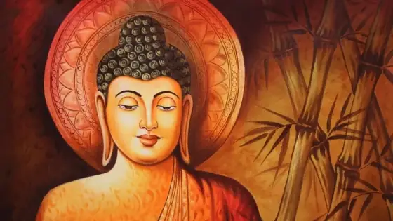 Hiểu Quy Luật Nhân Quả Để Đời Người Không Uổng Phí