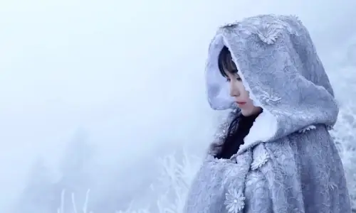 Lý Tử Thất Phật Nhảy Tường: Câu Chuyện Truyền Thuyết Và Giá Trị Ẩm Thực Đặc Sắc