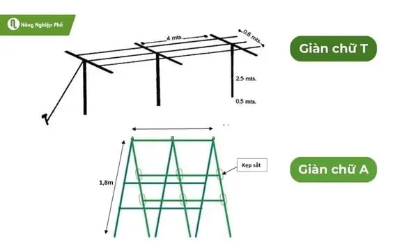 Các Loại Giàn Trồng Chanh Dây