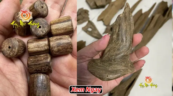 Trầm Hương Tự Nhiên Núi Rừng Là Gì?