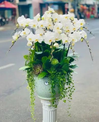 Hoa Kính Lễ Phật Đản 15/4 Âl - +299 Mẫu Hoa