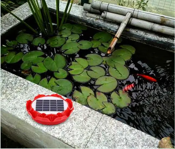 Vị Trí Đặt Máy Niệm Phật Hoa Sen Năng Lượng Mặt Trời Thích Hợp Nhất